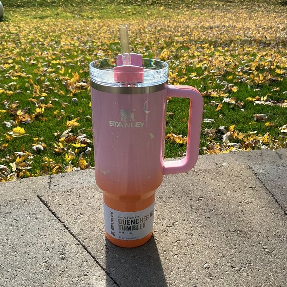 NWT Stanley 2025 Halloween 40oz Quencher Tumbler Spellcast Pink - Picture 1 of 4